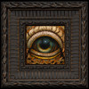 Eye 154 framed
