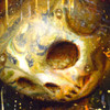 Skully 046 detail