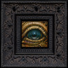 Eye 158 framed