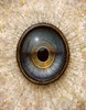 Eye 124