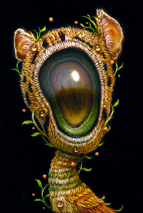 Visionary Awakening 051