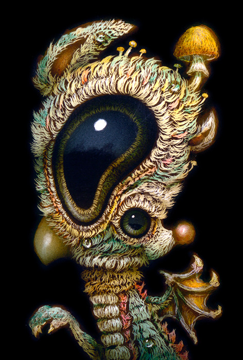 Visionary Awakening 058