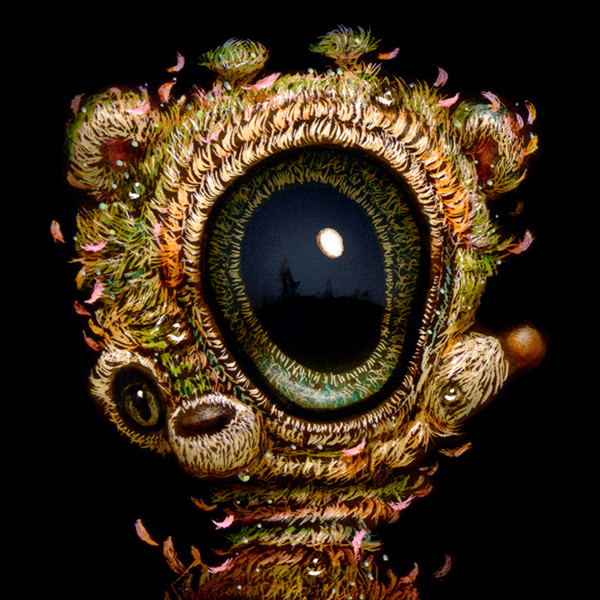 Visionary Awakening  059