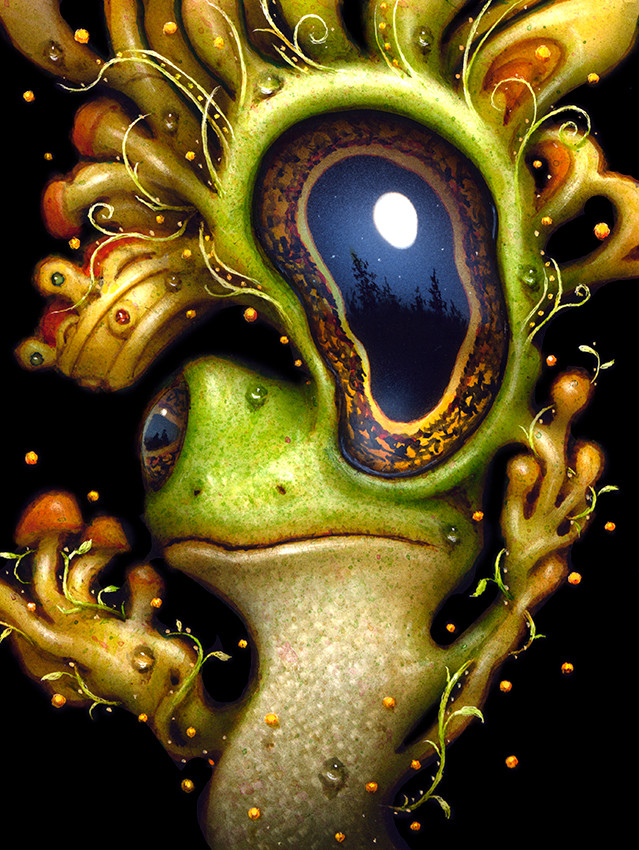 Visionary Awakening 071