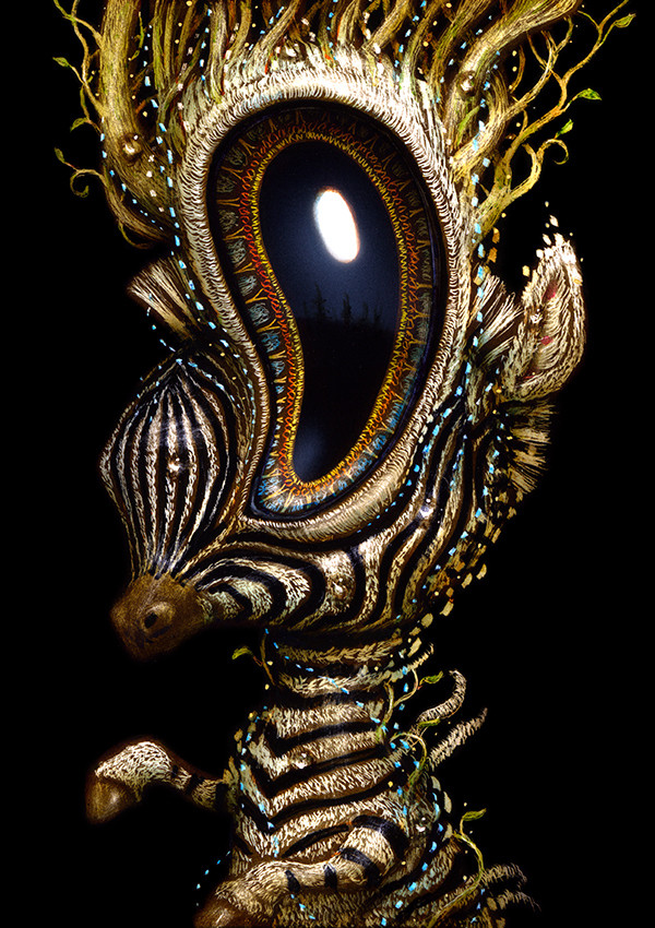 Visionary Awakening 073