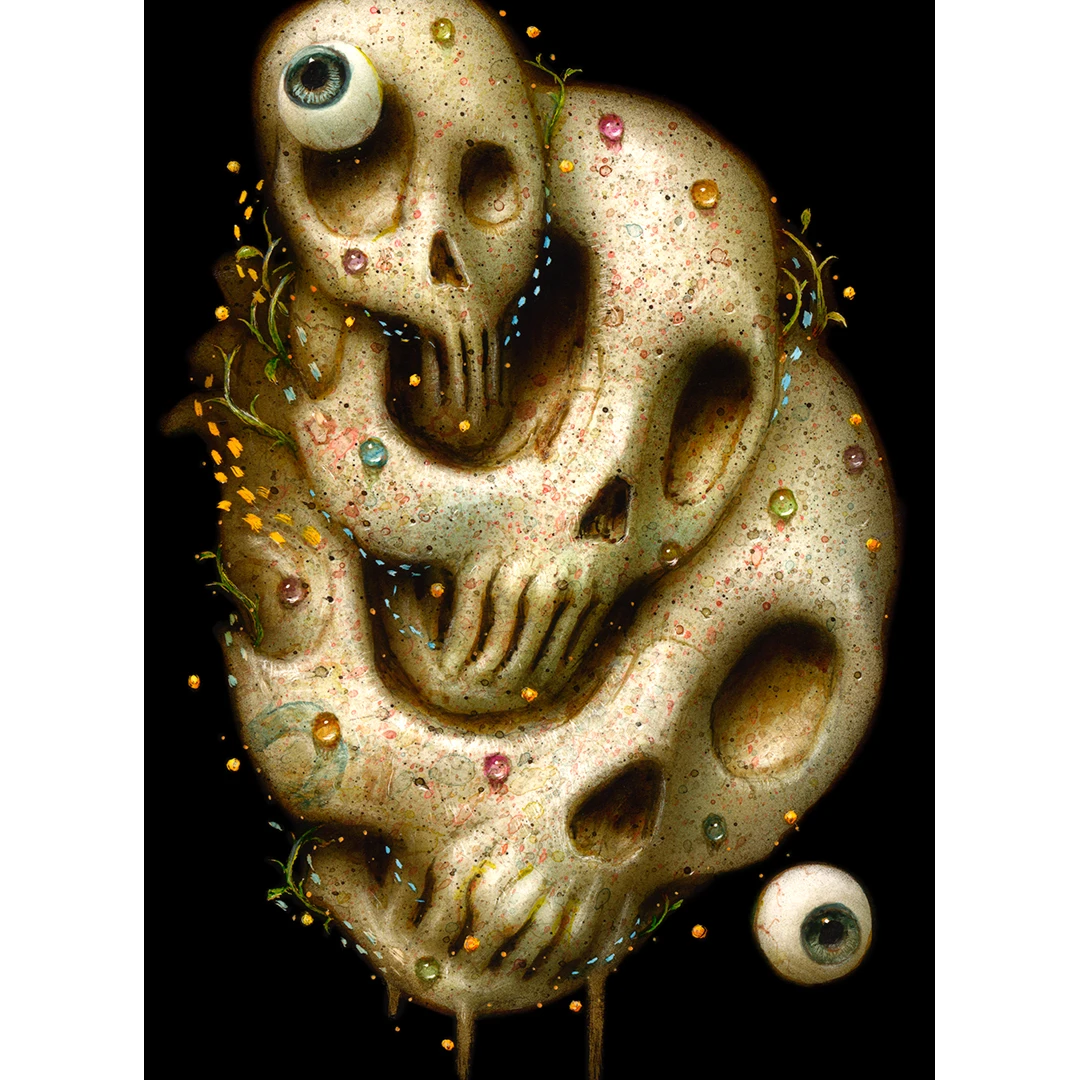 Fractal Vision
