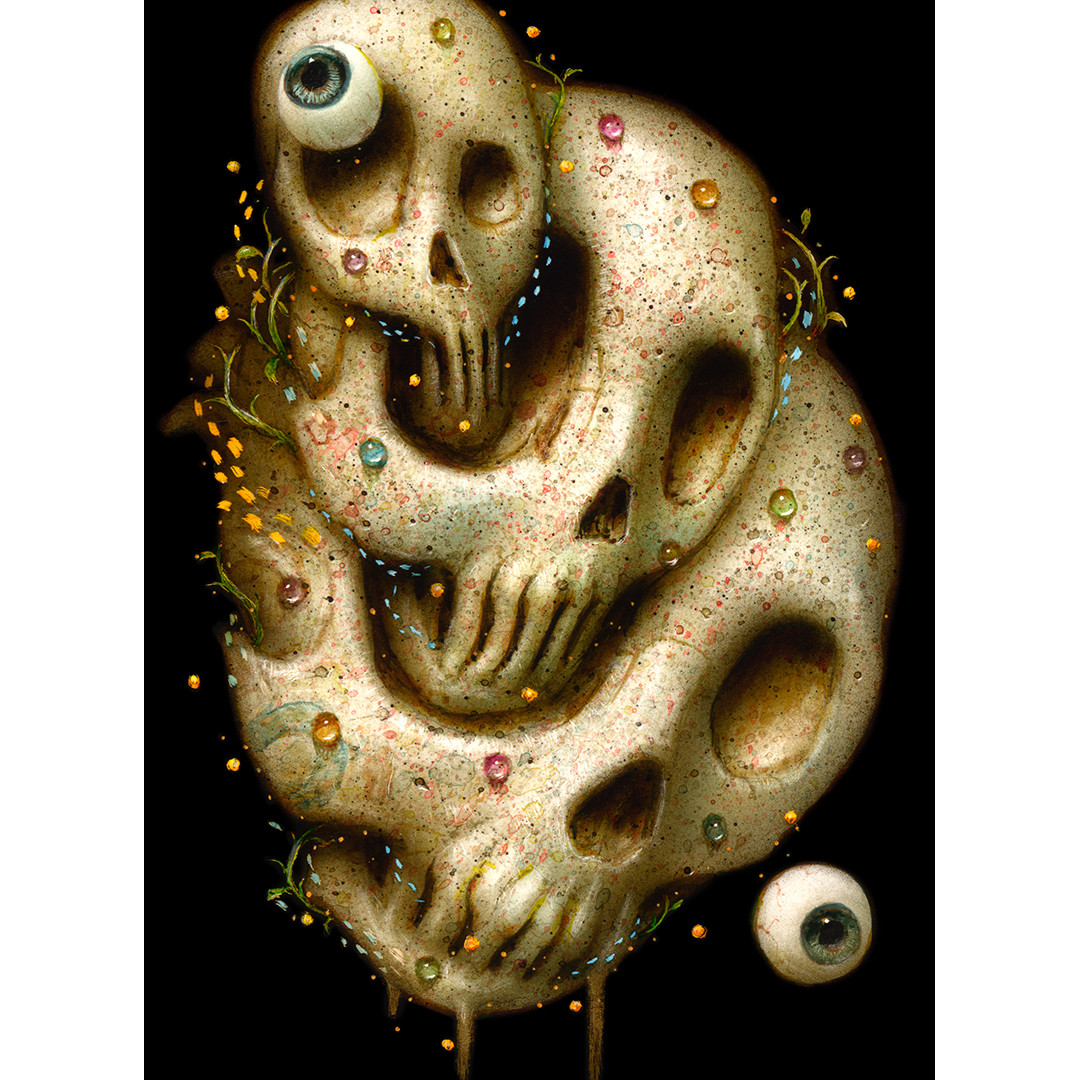 Fractal Vision