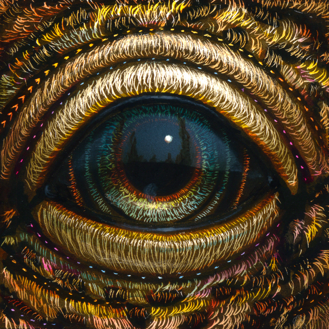 Eye 157