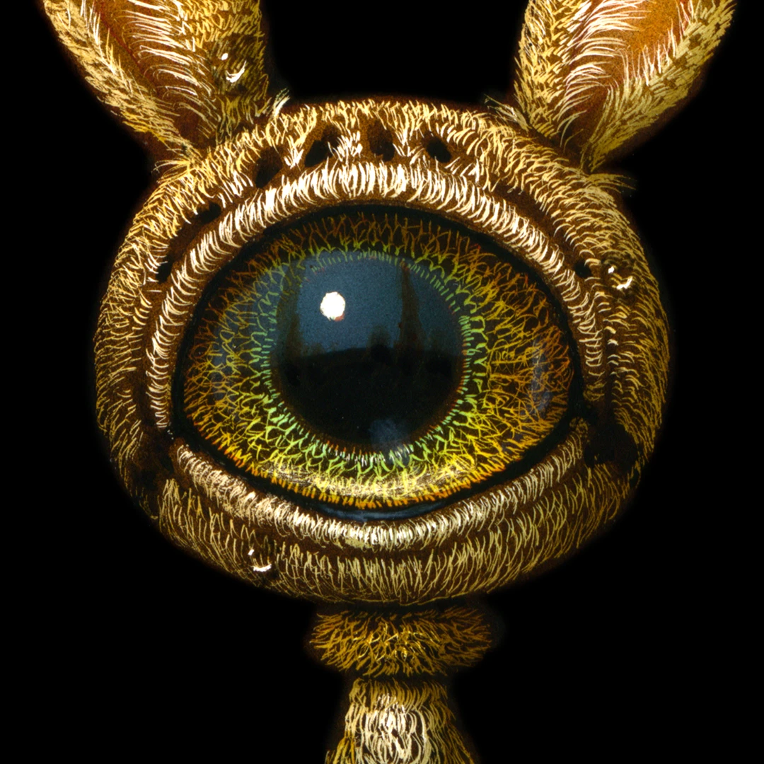 Visionary Awakenining 091