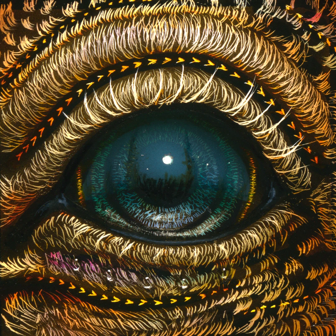Eye 158