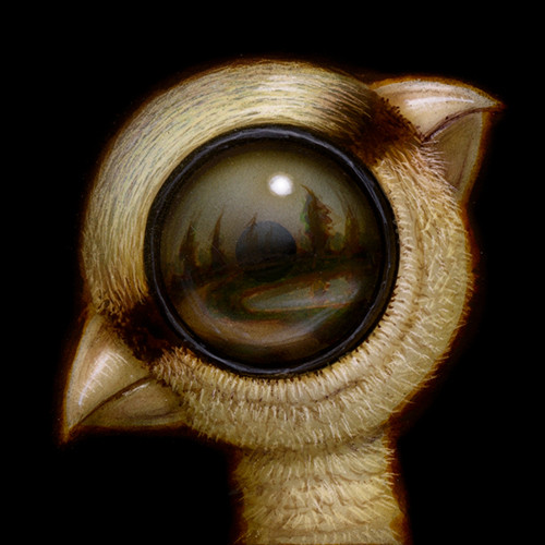 EyeBIrd 013