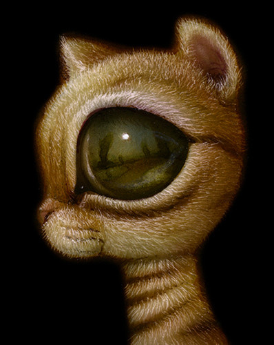 EyeCat 05