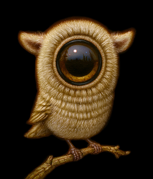 EyeBird 014