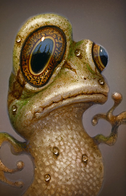 Frog Original Original Artwork