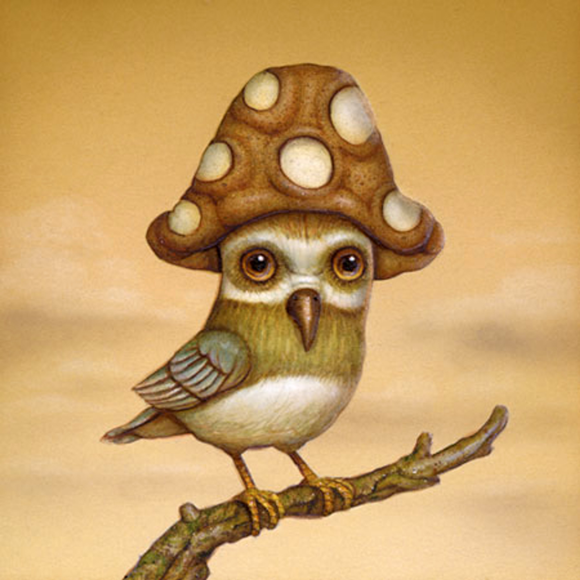 Shroombird Shroombird