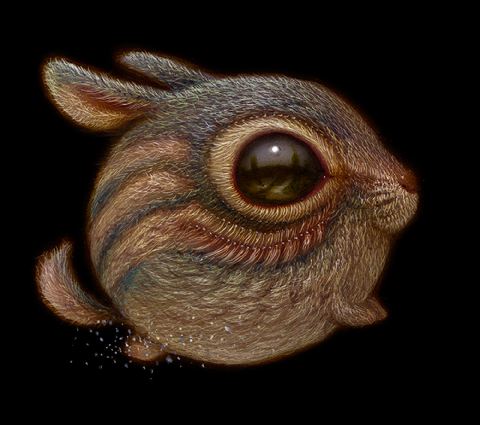 Lucid Dreamer 050 Lucid Dreamer 050