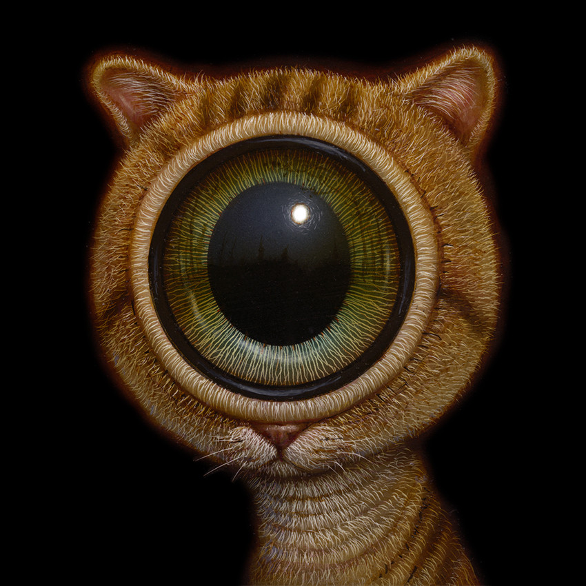 EyeCat 08