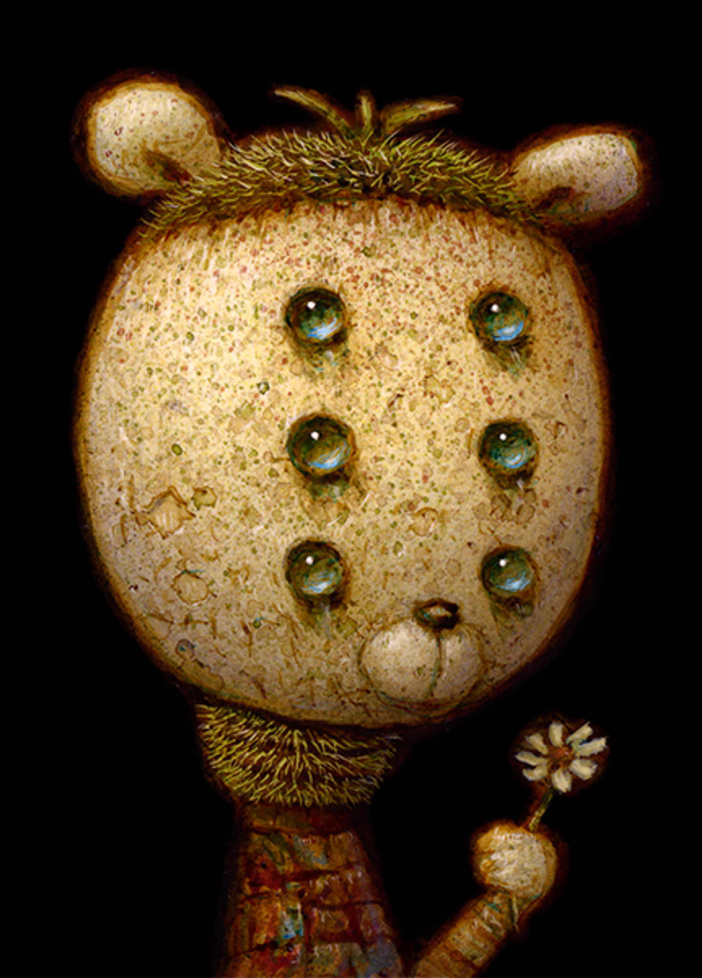 Pick a Flower Pick a Flower