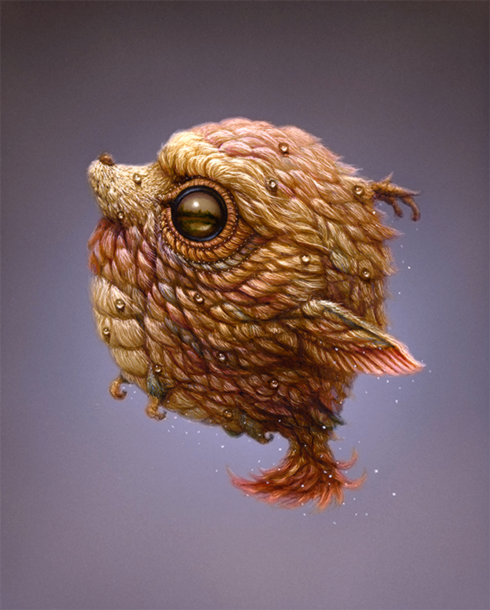 Lucid Dreamer 092 Lucid Dreamer 092