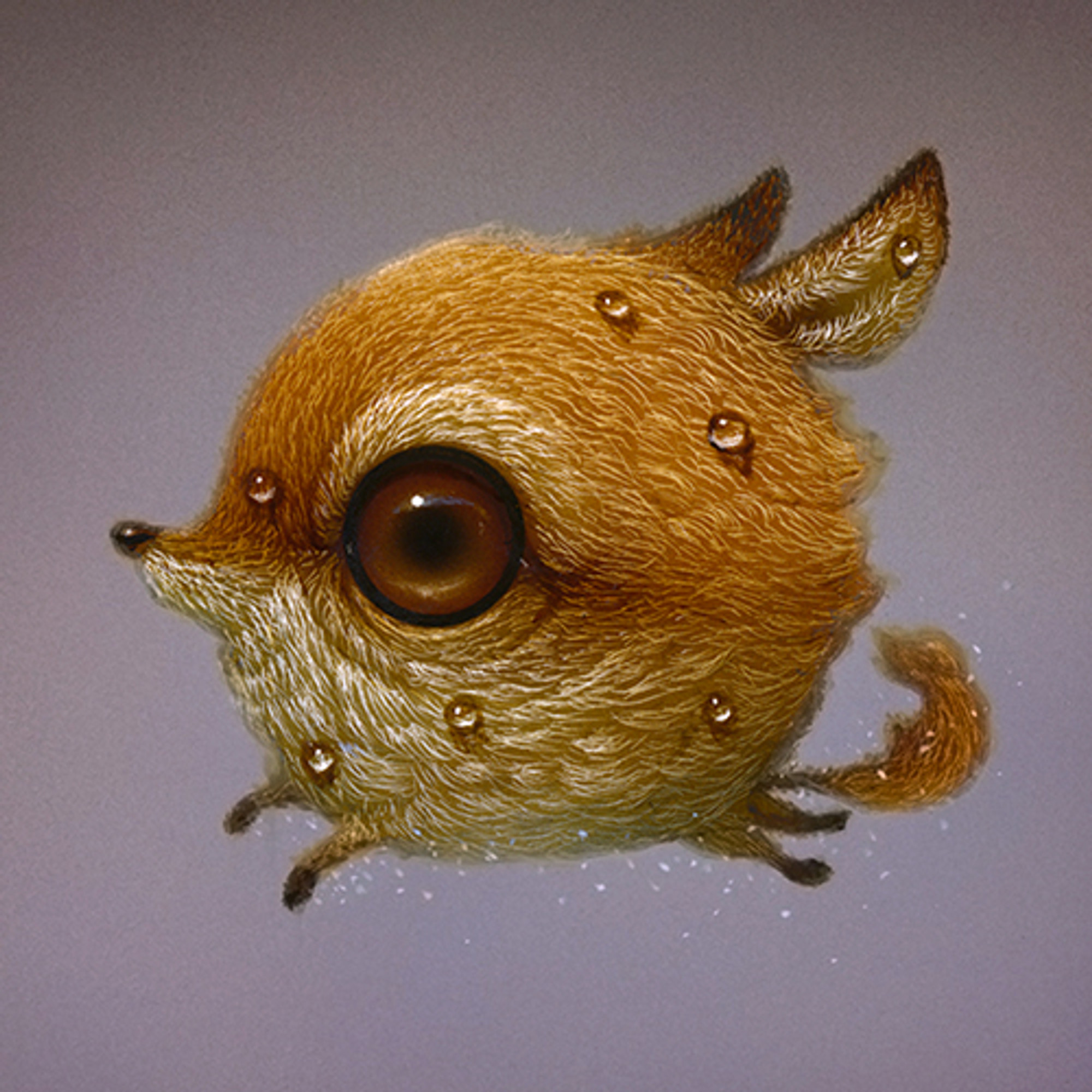Lucid Dreamer 117 Lucid Dreamer 117