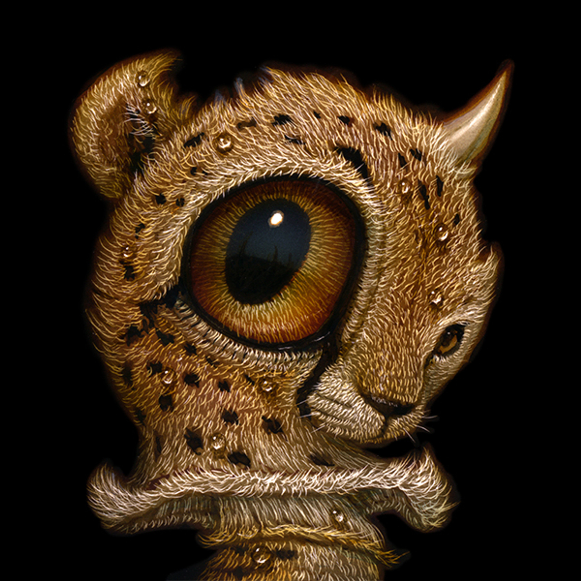 Ikkaku 016 Ikkaku 016