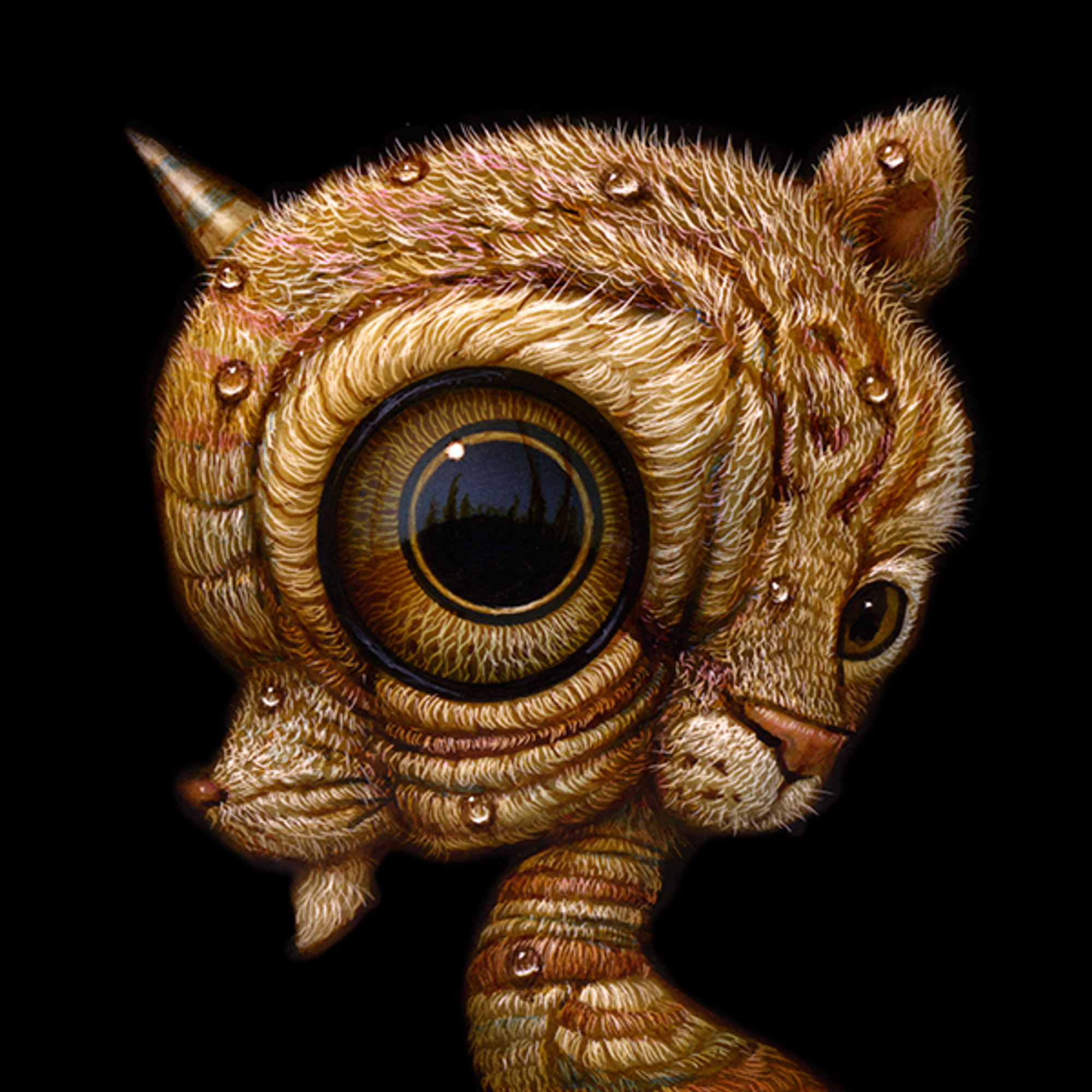 Ikkaku 018 Ikkaku 018