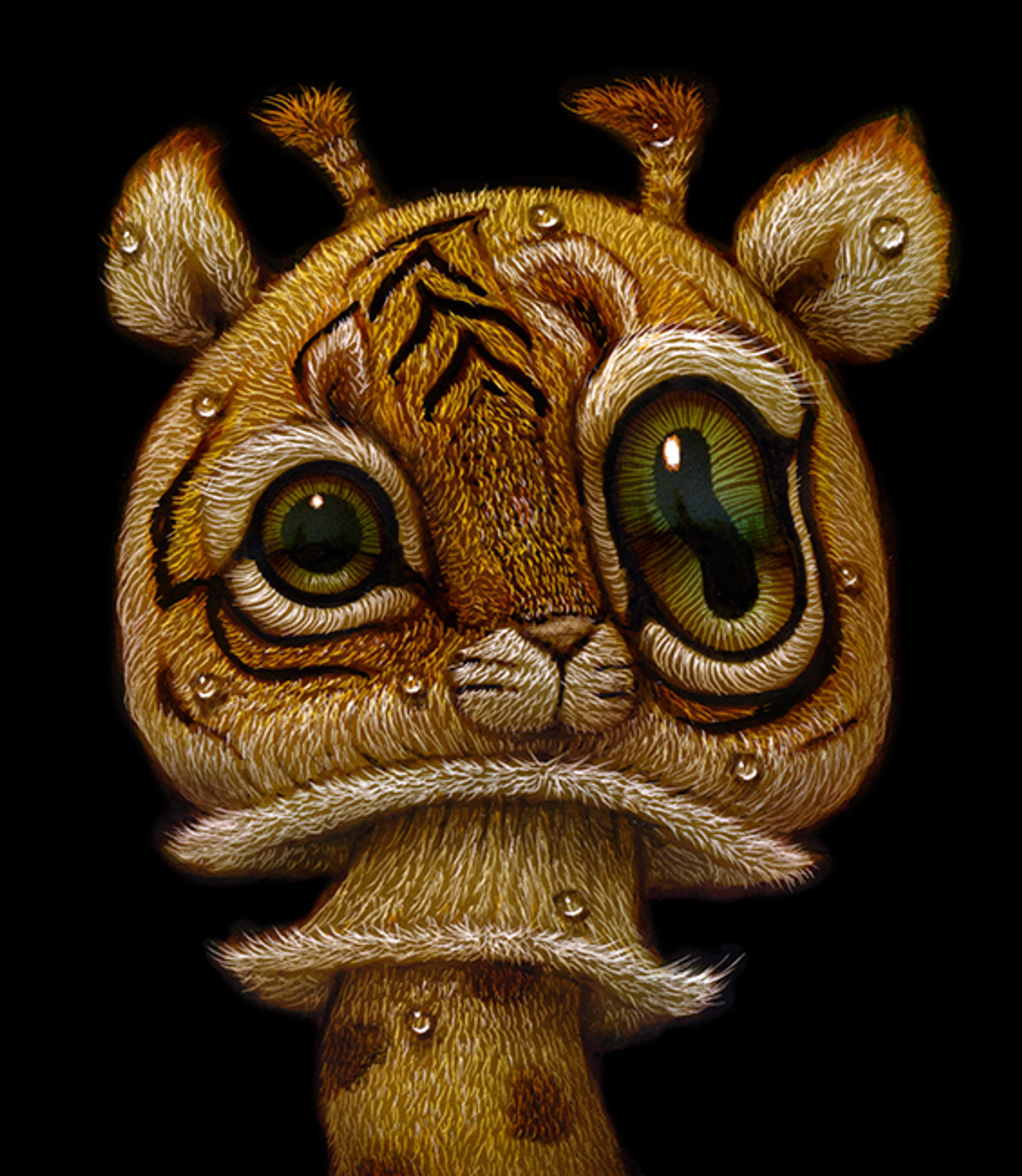 Shroomy 02 Shroomy 02