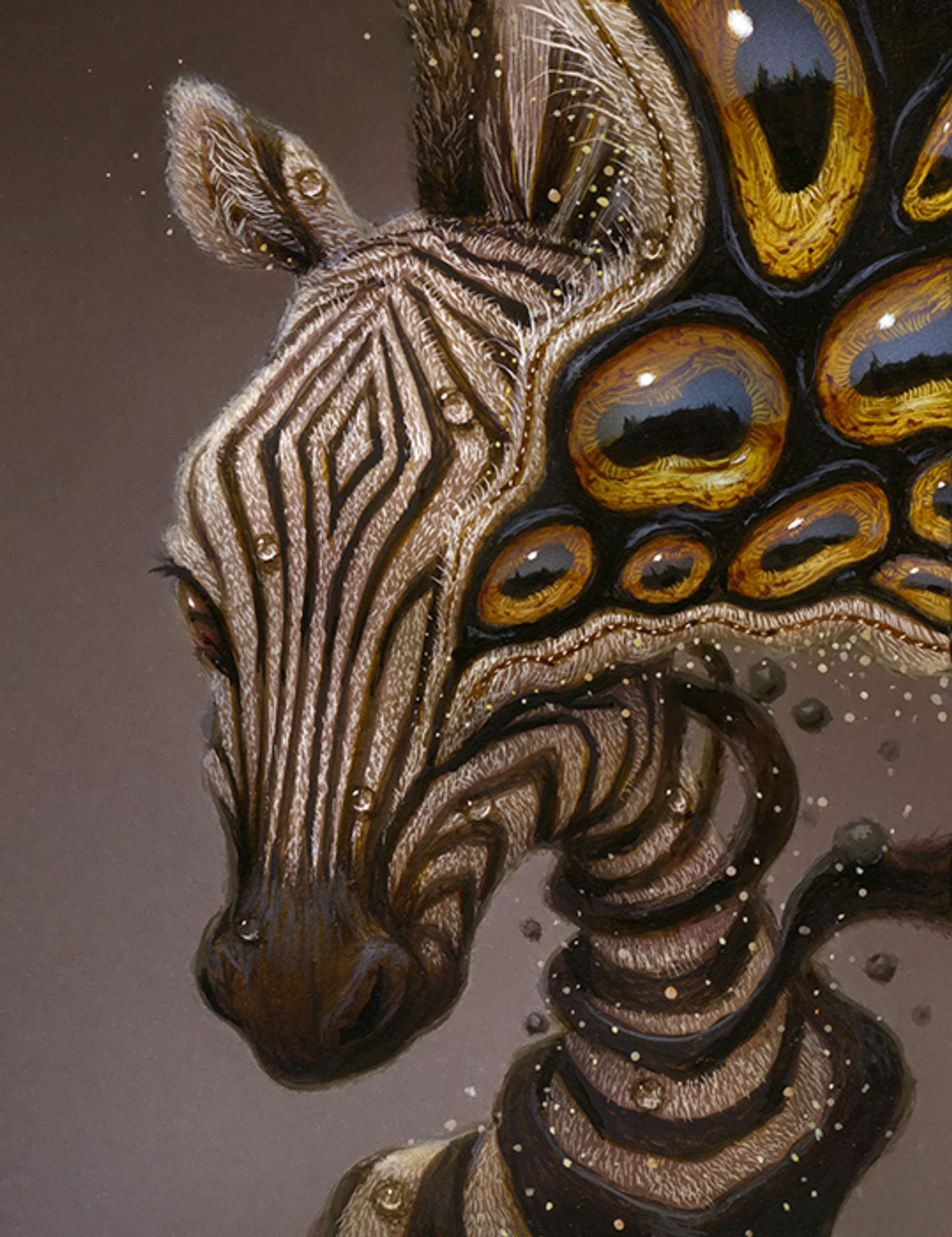 Zebra Zebra