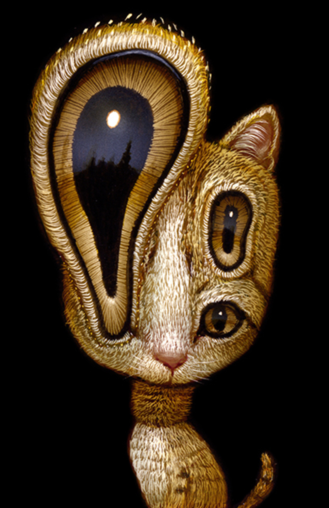 Cat 022 Cat 022