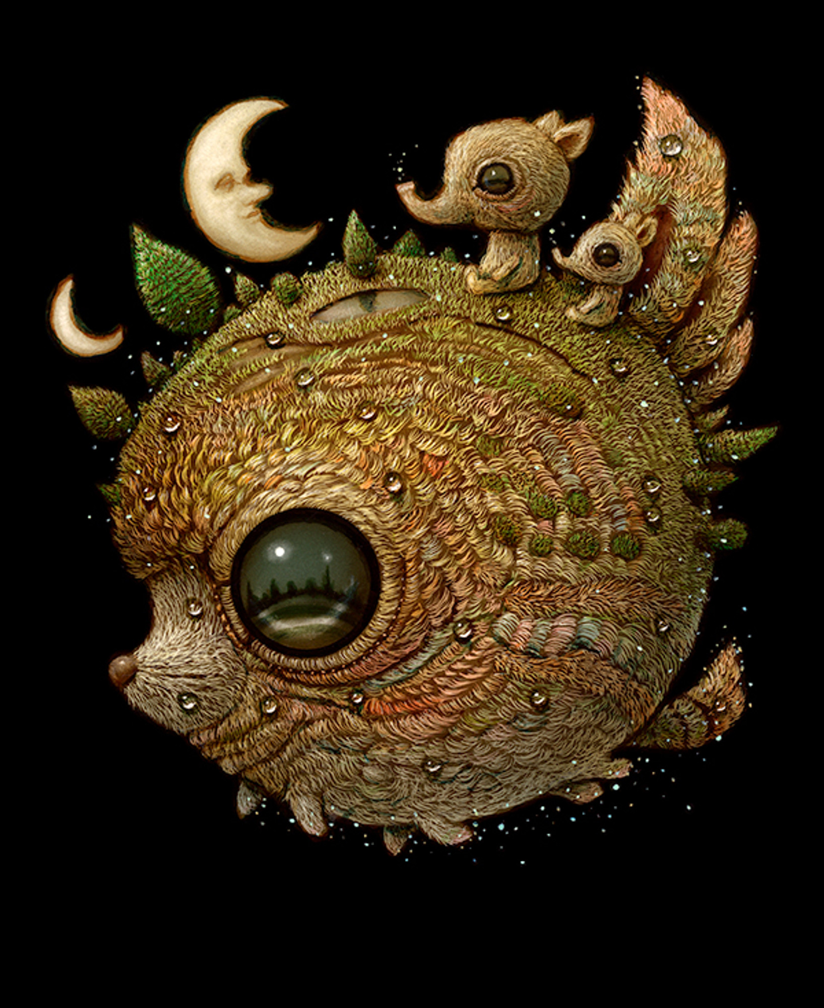 Lucid Dreamer 160 Lucid Dreamer 160