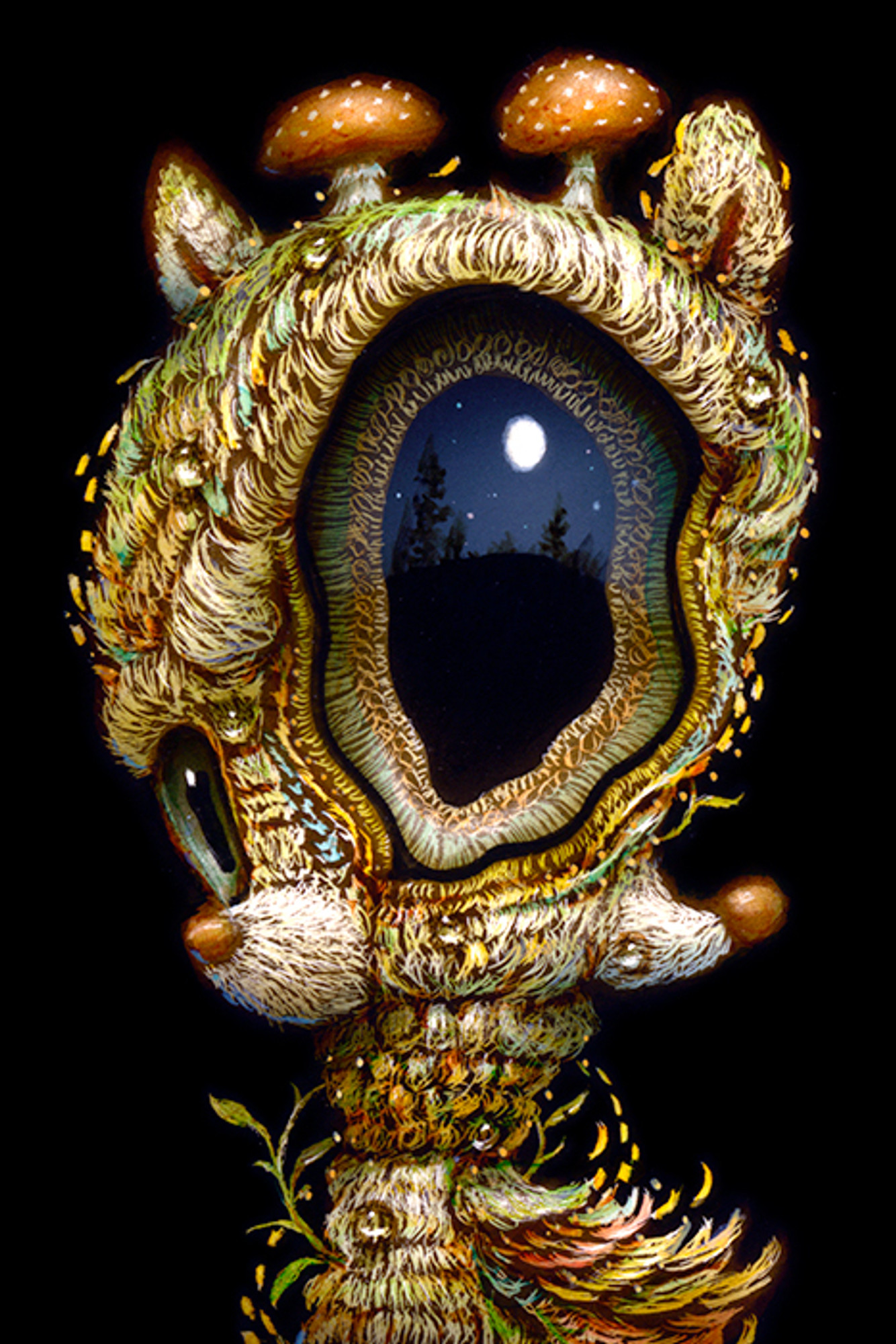 Visionary Awakening 048 Visionary Awakening 048