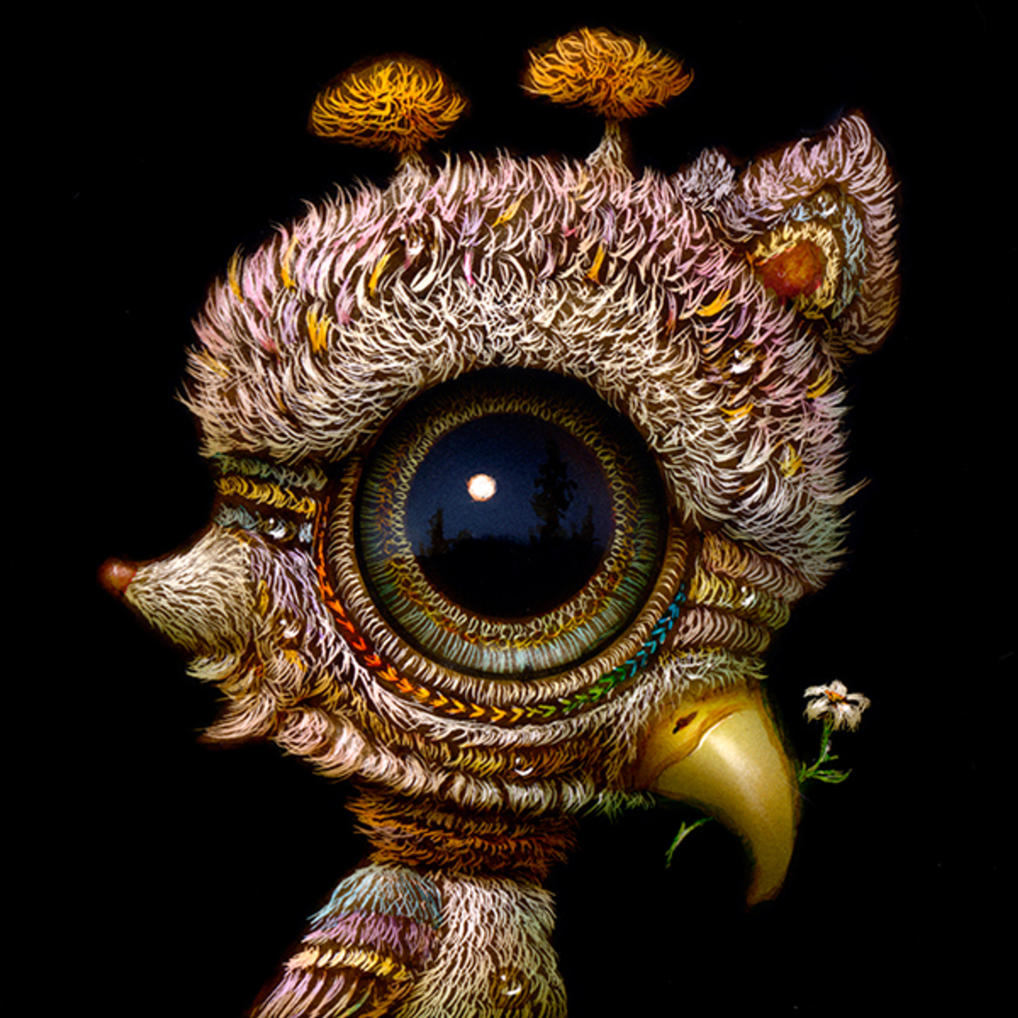 Gazing 036 Gazing 036