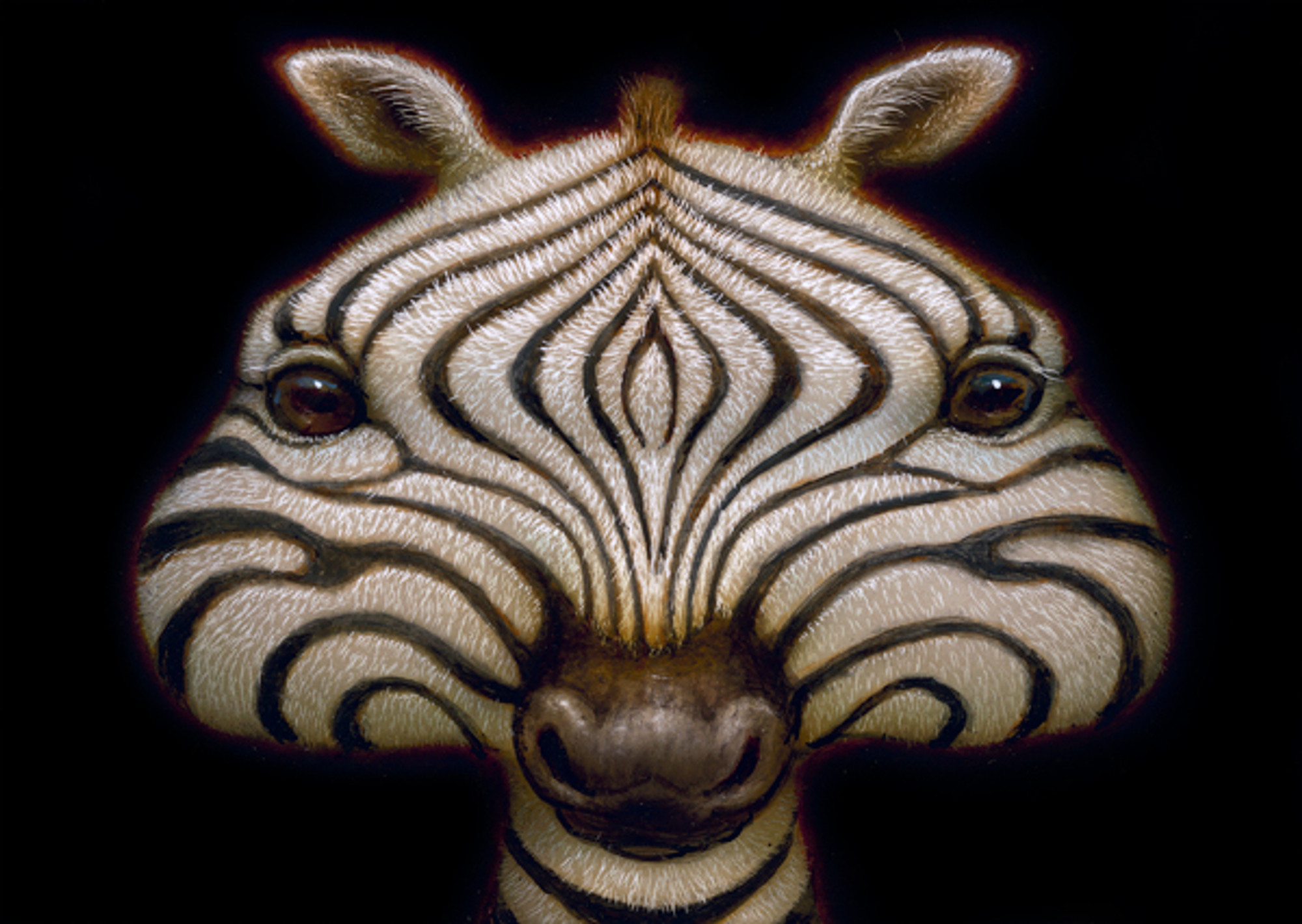 ShroomZebra ShroomZebra