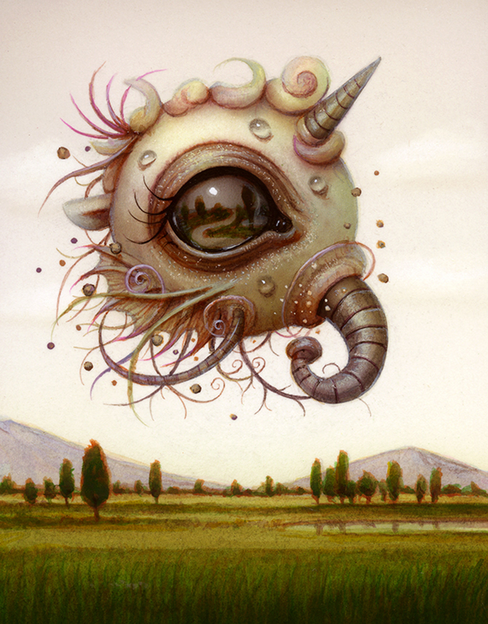Lucid Dreamer Lucid Dreamer