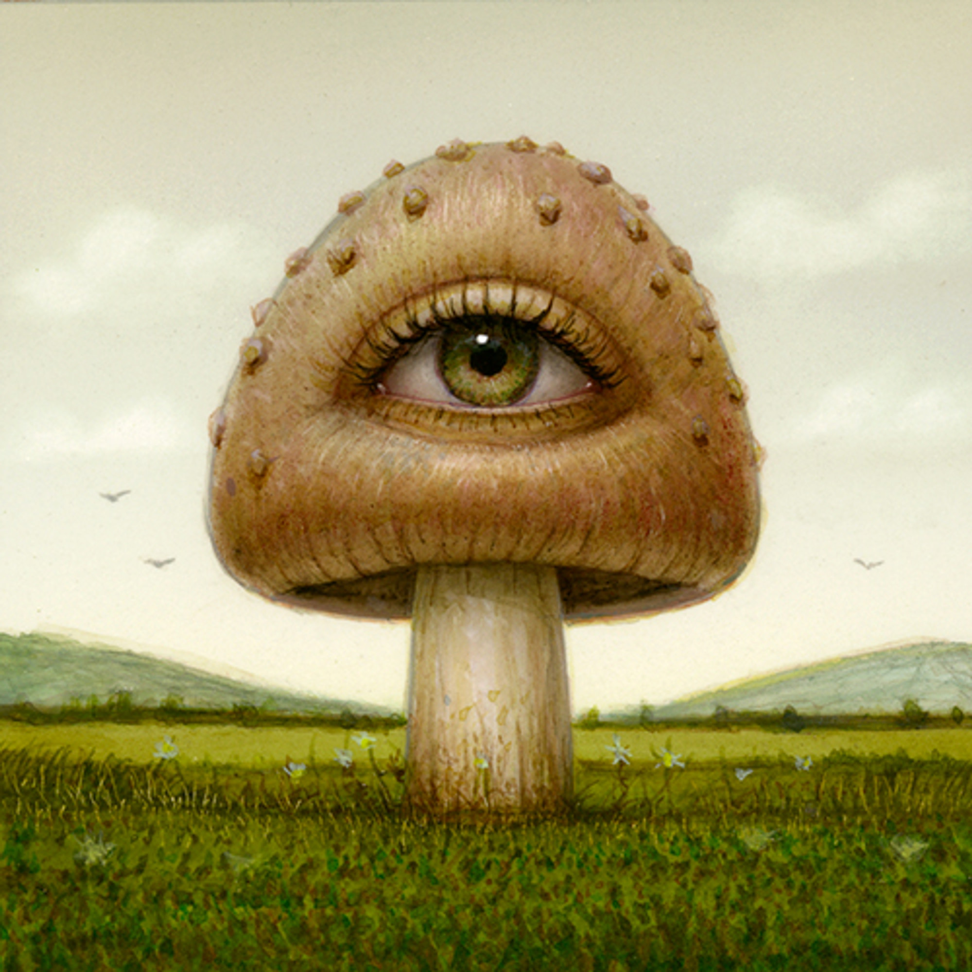 Shroom 03 Shroom 03