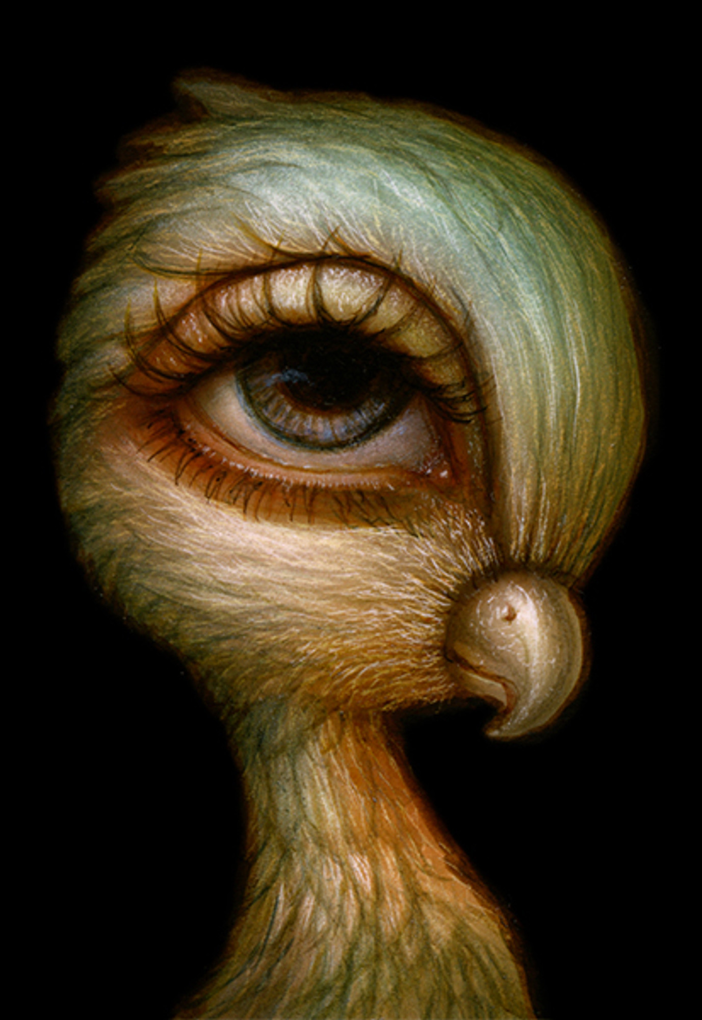 Birdie 012 Birdie 012