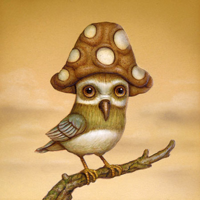 Shroombird