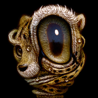 Original Artwork 
