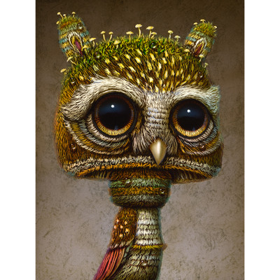 Fungus Owl 02