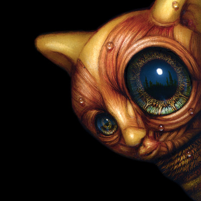 Naoto Hattori Online Store