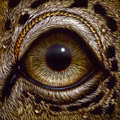 Eye 151