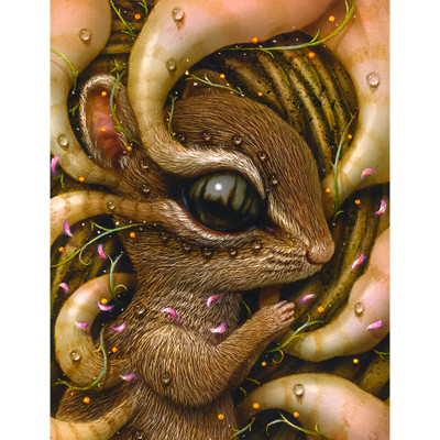 Squirrel