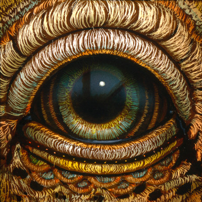 Naoto Hattori Online Store