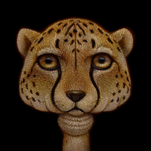 Shroom Cheetah