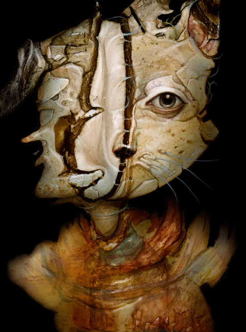 The Occult Tradition　David Katz　オカルトの伝統 The Occult Tradition: From the Renaissance to the Present