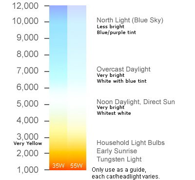 MAXTRAC - 2002-05 RAM 1500 4WD 1-3" LEVELING KIT: 842113