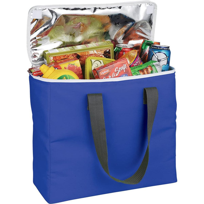 Arctic Zone® 30-Can Foldable Freezer Tote 18L