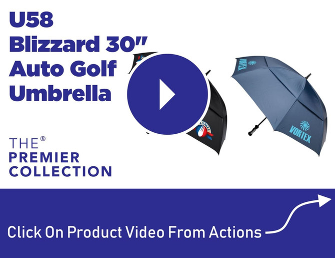 Blizzard 30" Auto Golf Umbrella