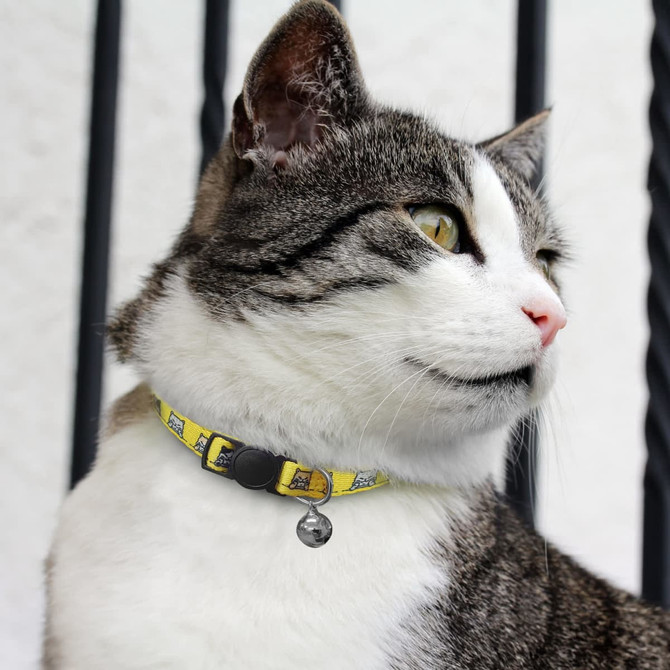 A cat wearing a yellow collar with a design featuring various patterns and a black fastening.