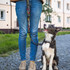 A colourful dog leash stands out against a person’s jeans, with a happy dog sitting beside them.